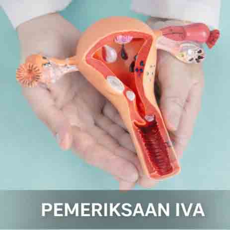 Pemeriksaan IVA